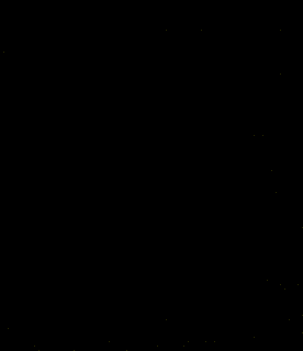GIF Image